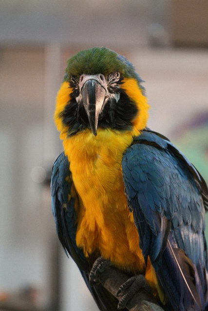 ABF_2013   017.jpg